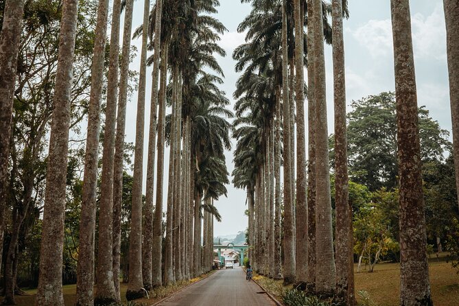 Explore Aburi Botanical Gardens And Boti Falls - Three eastern Ghana sights in one long day