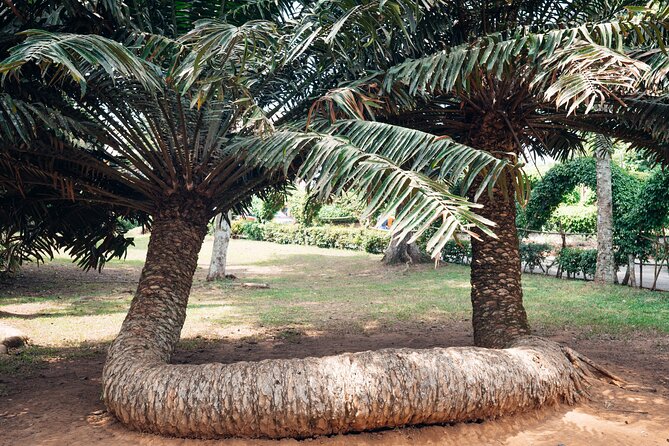 Explore Aburi Botanical Gardens And Boti Falls - What the $250 price really covers
