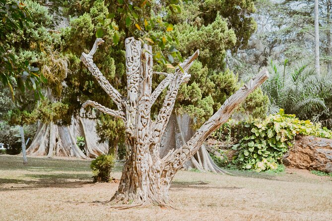 Explore Aburi Botanical Gardens And Boti Falls - Simple ways to prepare