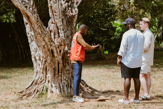 Explore Aburi Botanical Gardens And Boti Falls - The 45-minute hike to Umbrella Rock