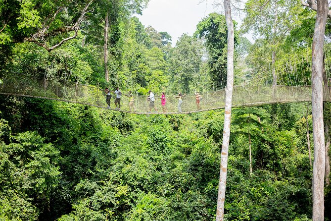 Explore Ghana Multi Day Tour - Day 6: Kakum’s forest trails and the return to Accra