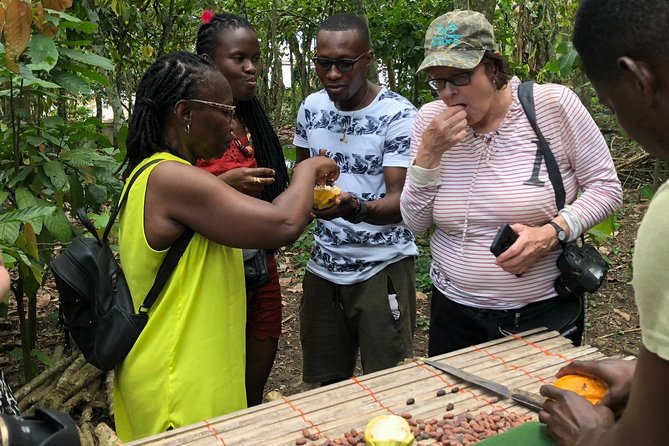Ghana Eastern Explorer - Boti Falls, Aburi Gardens & Tetther Quarshie Cocoa Farm - Key points to know before booking