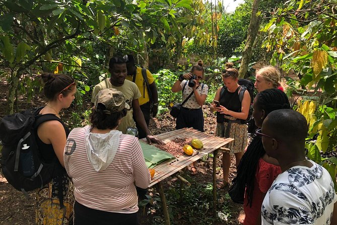 Ghana Eastern Explorer - Boti Falls, Aburi Gardens & Tetther Quarshie Cocoa Farm - Leaving Accra at 7:00 am