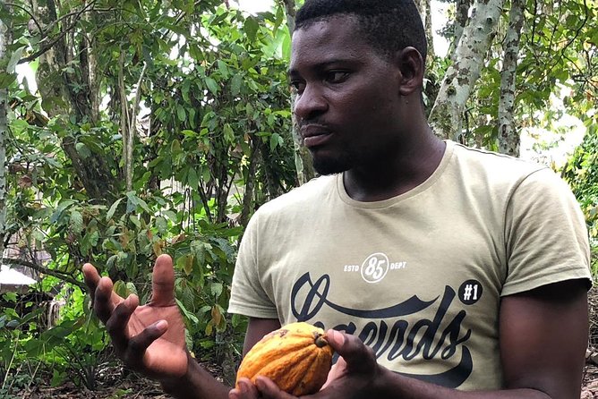 Ghana Eastern Explorer - Boti Falls, Aburi Gardens & Tetther Quarshie Cocoa Farm - The Tetteh Quarshie question