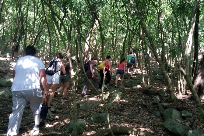 Half-day Accra Safari Tour - Hiking the four ancestral hills and caves