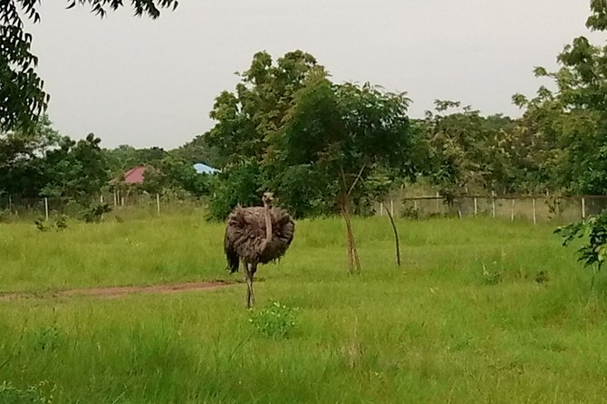 Half-day Accra Safari Tour - Who will get the most from this Accra safari