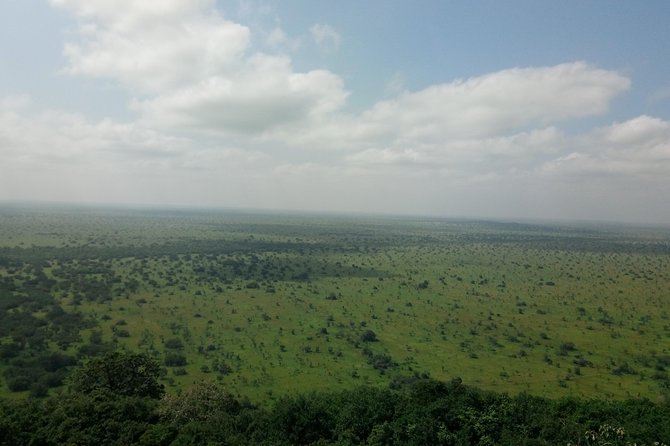 Half-day Accra Safari Tour - Should you book the Shai Hills half-day tour?