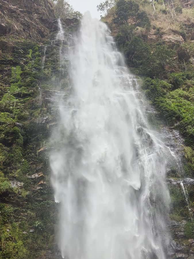 Hike Mount Afadjato and Visit Wli Falls and Monkey Sanctuary - Should you book this Mount Afadjato and Wli Falls tour?