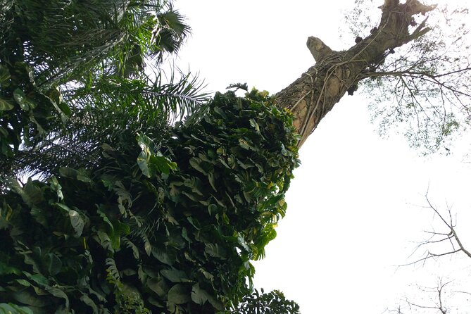 Nature Thrills - Who will enjoy this day most