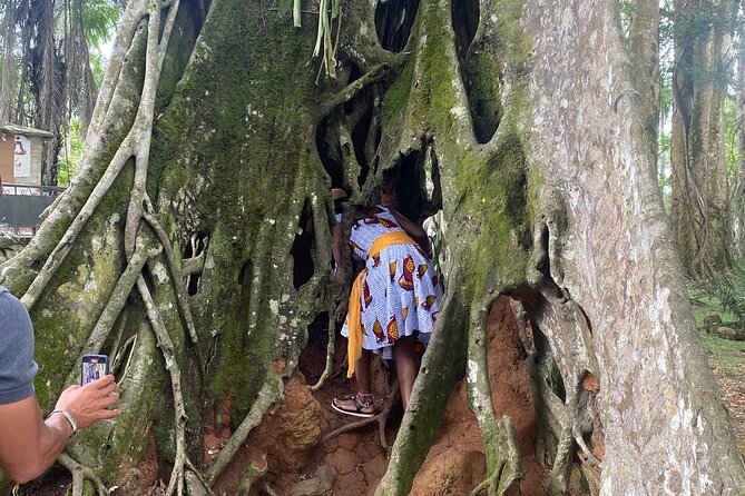 Private Aburi Hill Guided Tour - Aburi Botanical Gardens, with 130 acres and 30 developed for visitors