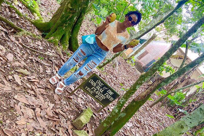 Private Aburi Hill Guided Tour - The optional pet zoo at Peduase Lodge
