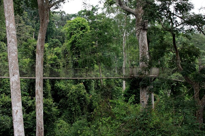 Private Multi-Day Ghana Tour about Culture History and Wildlife - 7 Days - Kumasi brings palace life and the huge Kejetia Market
