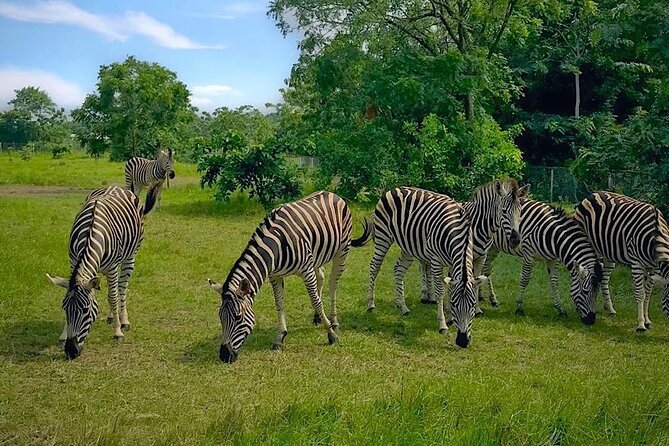 Shai Hills Half Day Accra Safari, Hike & see Animals - Why Shai Hills Works as an Accra Day Trip