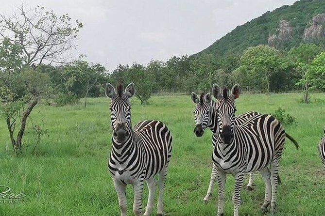 Shai Hills Half Day Accra Safari, Hike & see Animals - Animals You Might See at Shai Hills