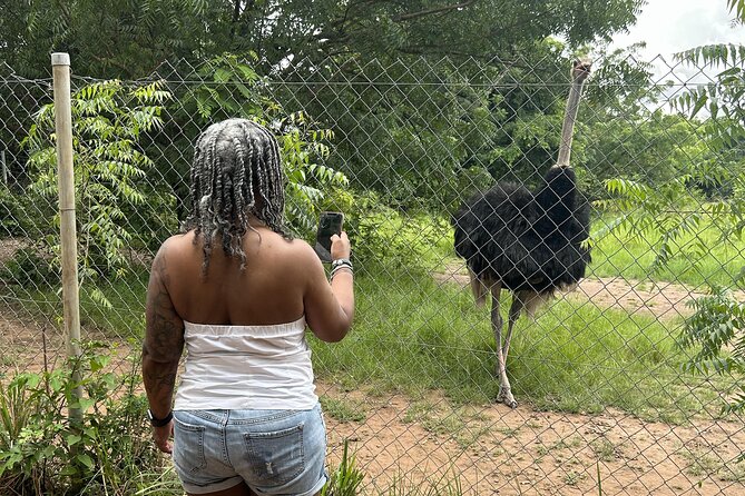 Shai Hills Safari - Hike & See Animals - Looking for baboons, zebras, and ostriches