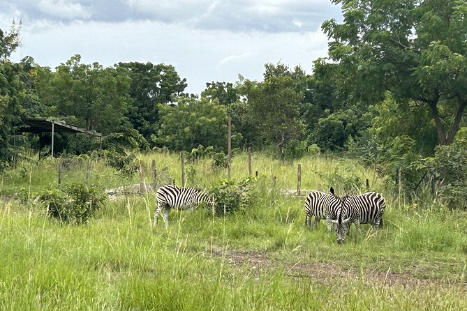 Shai Hills Safari - Hike & See Animals - A worthwhile stop for bird watchers