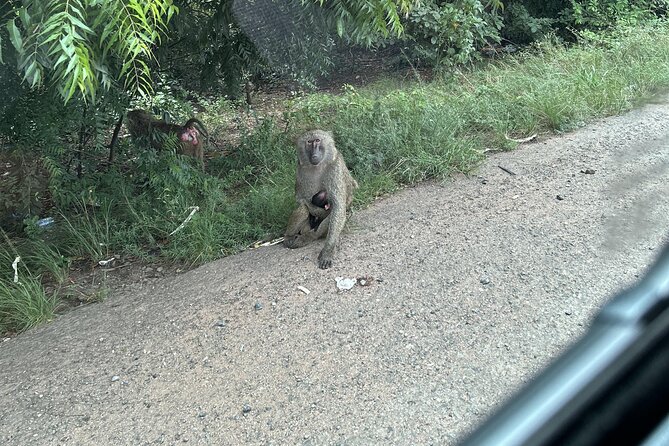 Shai Hills Safari - Hike & See Animals - What the $130 price means