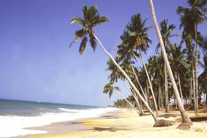 The Best Of Cape Coast Tour - Elmina Castle and the Portuguese beginning