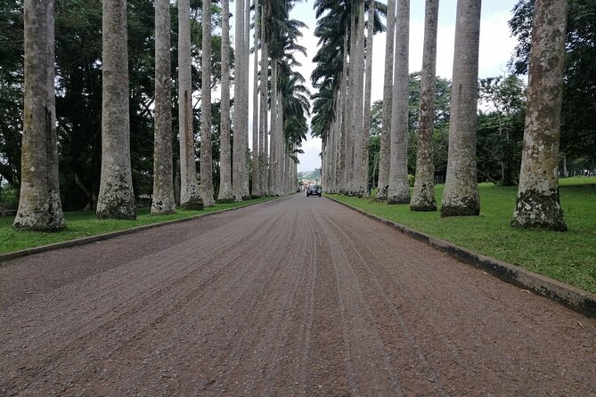 The Botanical Gardens and Water Falls Experience - Private Tour - Boti Falls, the twin falls stop
