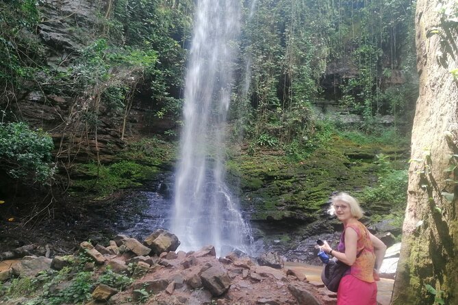 The Botanical Gardens and Water Falls Experience - Private Tour - What the private format is really worth
