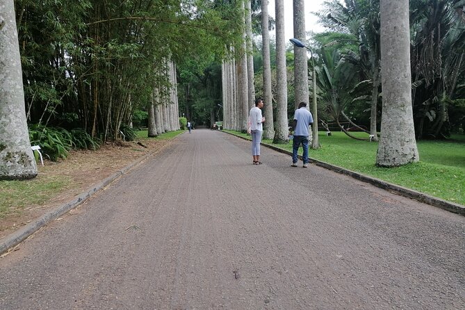 The Botanical Gardens and Water Falls Experience - Private Tour - The guide can shape the day