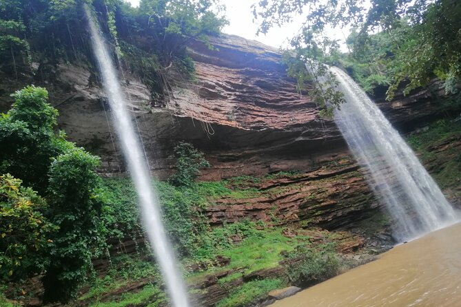 The Botanical Gardens and Water Falls Experience - Private Tour - Who will enjoy this outing most