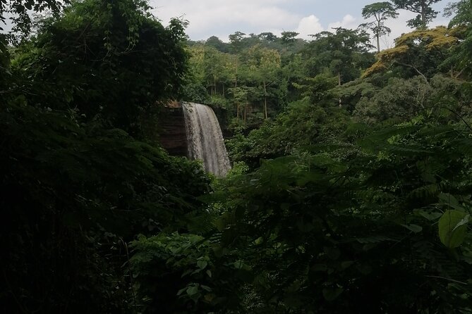 The Botanical Gardens and Water Falls Experience - Private Tour - Aburi Botanical Gardens and its useful plant focus