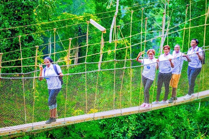 The Cape Coast Tour - Kakum’s rainforest canopy walkway