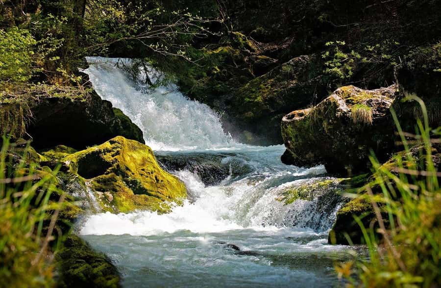 Visit Aburi Garden, Tetteh Quarshie Cocoa Farm & Waterfall - Leaving Accra for the Aburi Hills