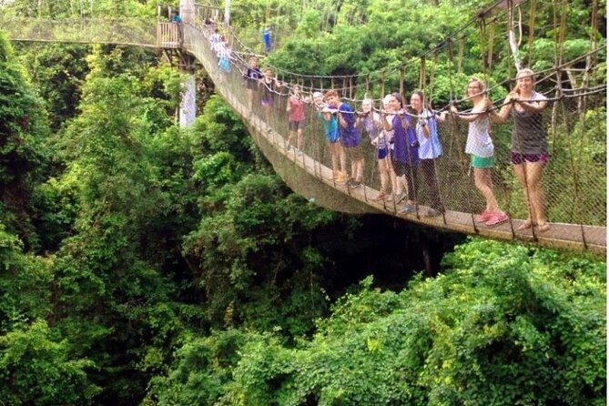 Volta Region 3 Days 2 nights Nature Private Tour - Wli Waterfall: choose your walking level